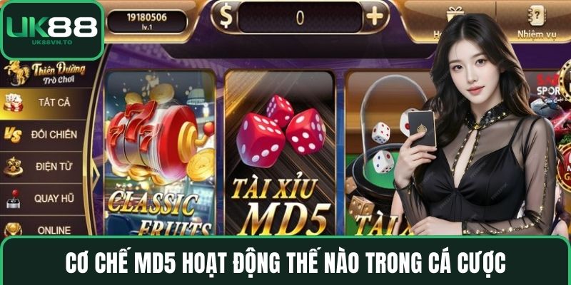 Cơ chế MD5 hoạt động thế nào trong cá cược
